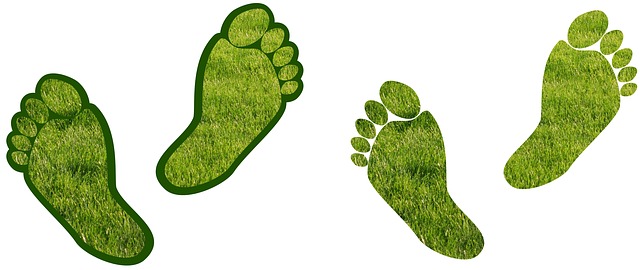 Georgian Bay Municipalities Are Taking Action on Climate Change