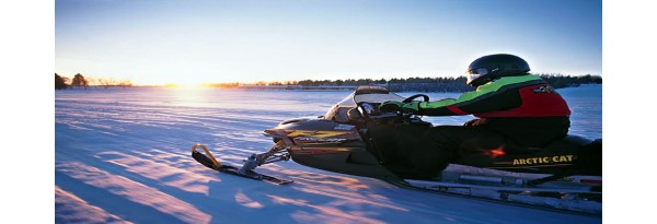 Ten Years of Data Reveal the Poor Behaviours Behind Snowmobile Fatalities