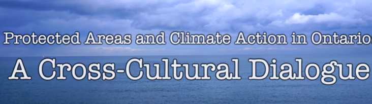 Cross-Cultural Perspectives on Environmental Issues