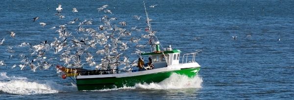 Bipartisan Legislation Gives Great Lakes Fishery Research A Boost